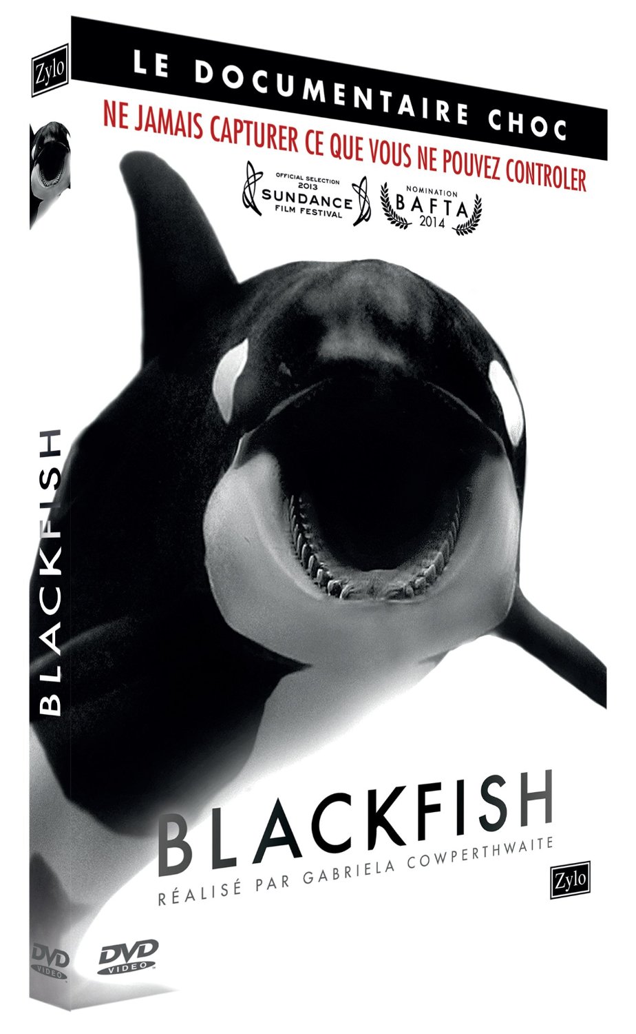 BlackFish