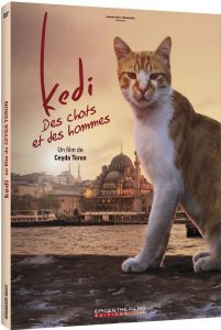 Kedi des chats et des hommes