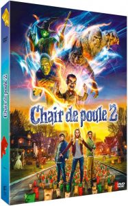 chair de poule 2