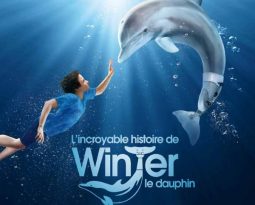 Critique : L’incroyable histoire de Winter le dauphin avec Harry Connick Jr