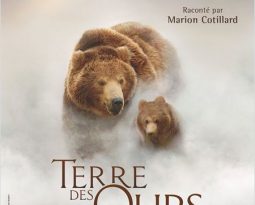 Critique : Terre des Ours de Guillaume Vincent avec Marion Cotillard