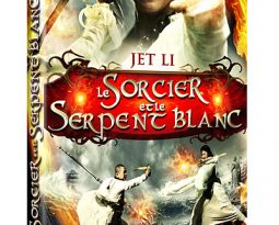 DVD : Le sorcier et le serpent blanc de Ching Siu-Tung avec Jet Li, Shengyi Huang, Raymond Lam