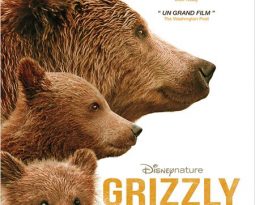 Terminé – Grizzly en salles le 5 novembre – Gagnez des places de cinéma #DisneyNature