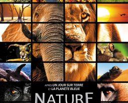 Nature, la bande-annonce, au cinéma le 24 décembre