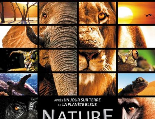 Nature, la bande-annonce, au cinéma le 24 décembre