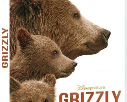 Terminé-Grizzly : Gagnez des DVD du film Disneynature