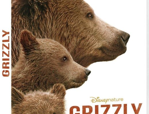 Terminé-Grizzly : Gagnez des DVD du film Disneynature