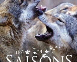 Les Saisons, le nouveau film de Jacques Perrin et Jacques Cluzaud au cinéma le 27 janvier