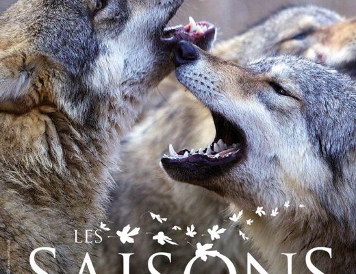 Les Saisons, le nouveau film de Jacques Perrin et Jacques Cluzaud au cinéma le 27 janvier