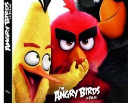 Avis DVD : Angry Birds le Film