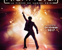 Saturday Night Fever, le spectacle musical