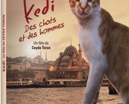 Terminé – Gagnez des DVD du film documentaire KEDI – Des chats et des hommes !