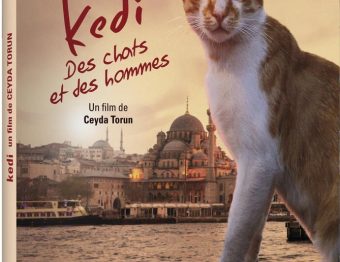 Terminé – Gagnez des DVD du film documentaire KEDI – Des chats et des hommes !