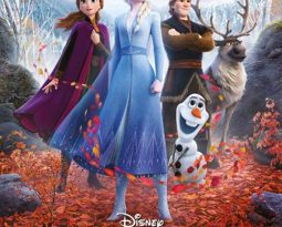 Critique Film – La Reine des Neiges 2 avec les voix avec Emmylou Homs, Charlotte Hervieux, Dany Boon